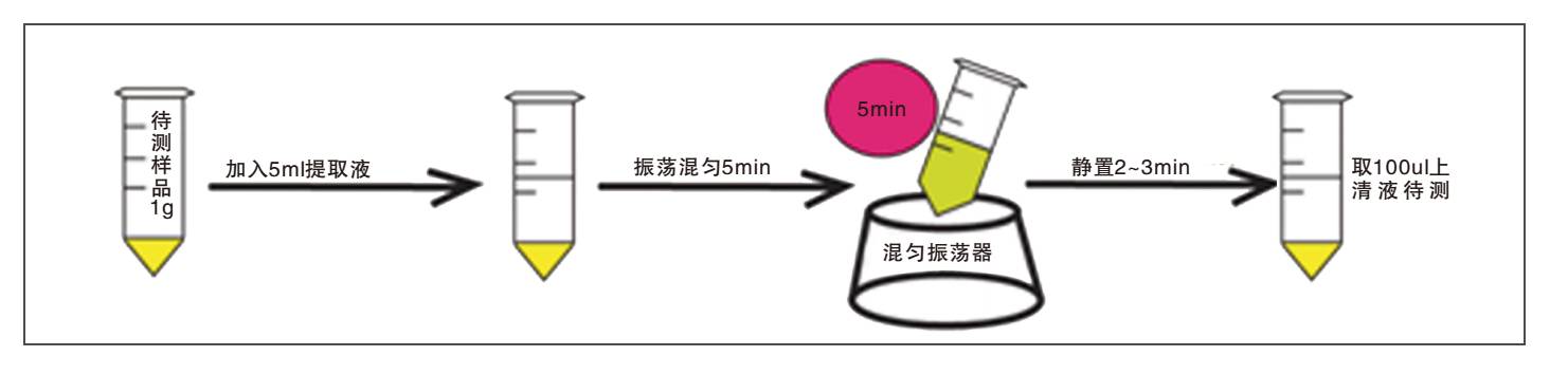 饲料中伏马菌素荧光快速检测试纸条