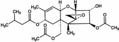 T-2毒素分子结构