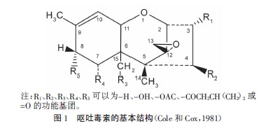 呕吐毒素分子式