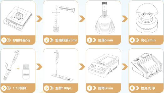 呕吐毒素检测流程