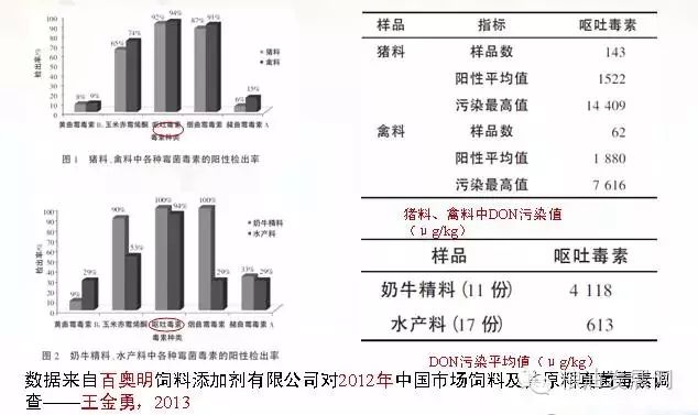 饲料及其原料中的DON