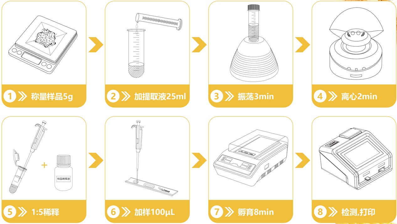 黄曲霉毒素检测流程 黄曲霉毒素检测流程