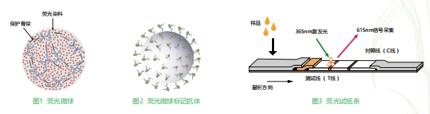 时间分辨荧光纳米微球标记技术