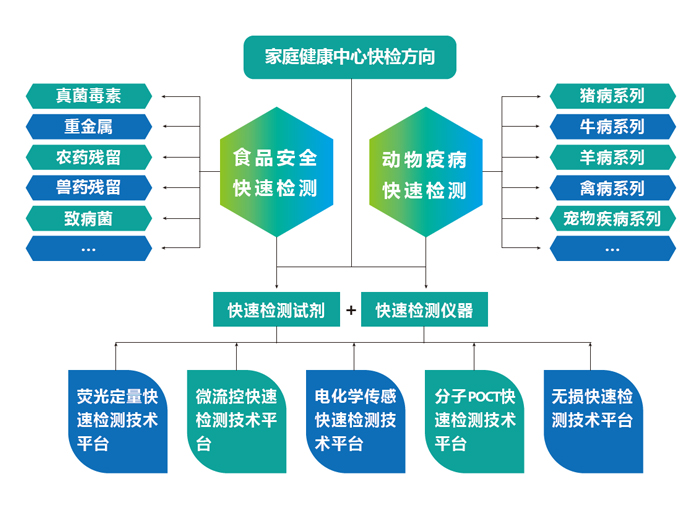 上海飞测研究领域与方向