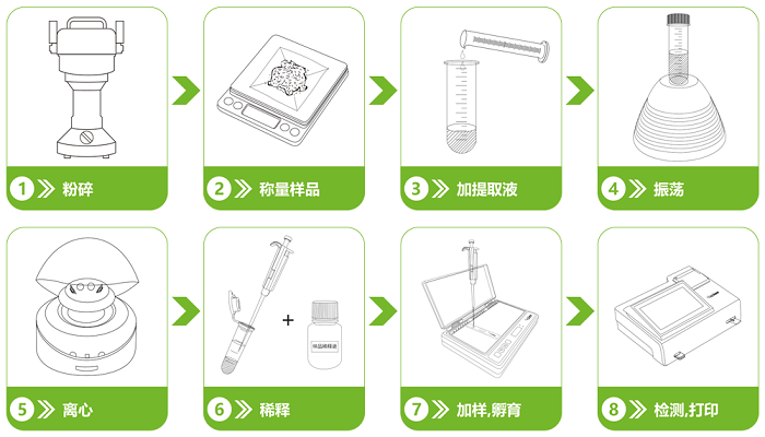 饲料中呋喃西林衍生物荧光定量快速检测卡检测流程