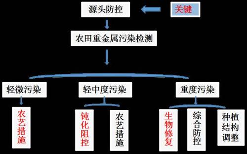 粮食重金属防治方案